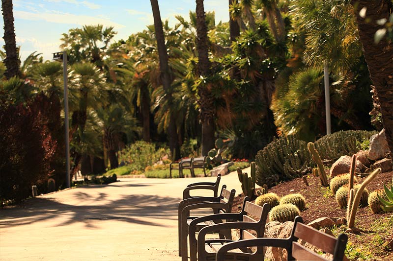 Jardin-Cactus-Barcelone102