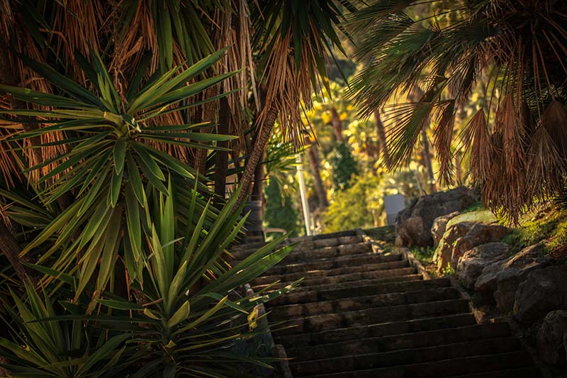 Jardin-Cactus-Barcelone109