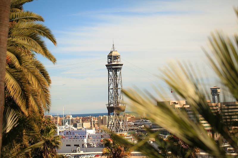 jardin cactus barcelone