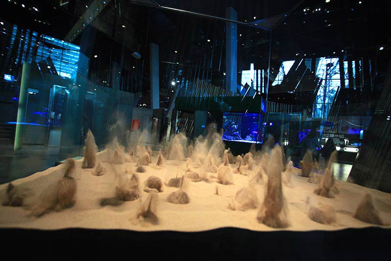 Musee des Sciences CosmoCaixa Barcelone