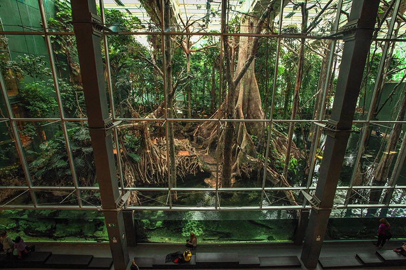 Musee des Sciences CosmoCaixa Barcelone