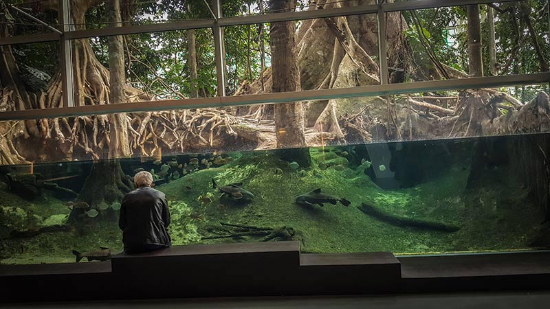 Musee des Sciences CosmoCaixa Barcelone