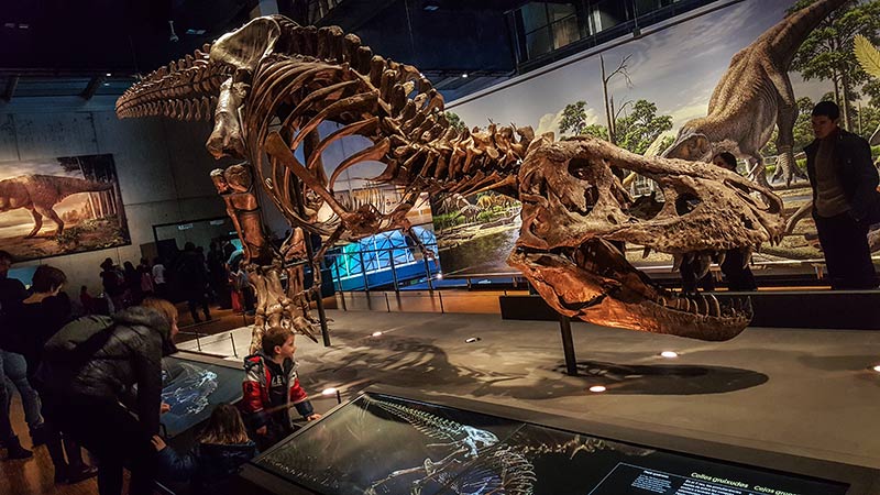 Musee des Sciences CosmoCaixa Barcelone