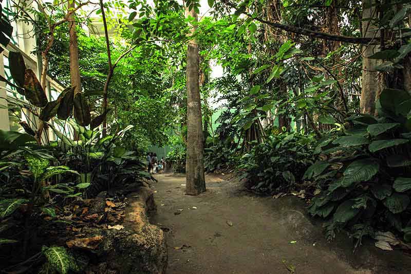 Musee des Sciences CosmoCaixa Barcelone