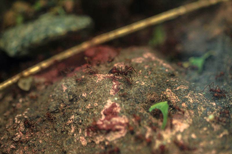 Musee des Sciences CosmoCaixa Barcelone