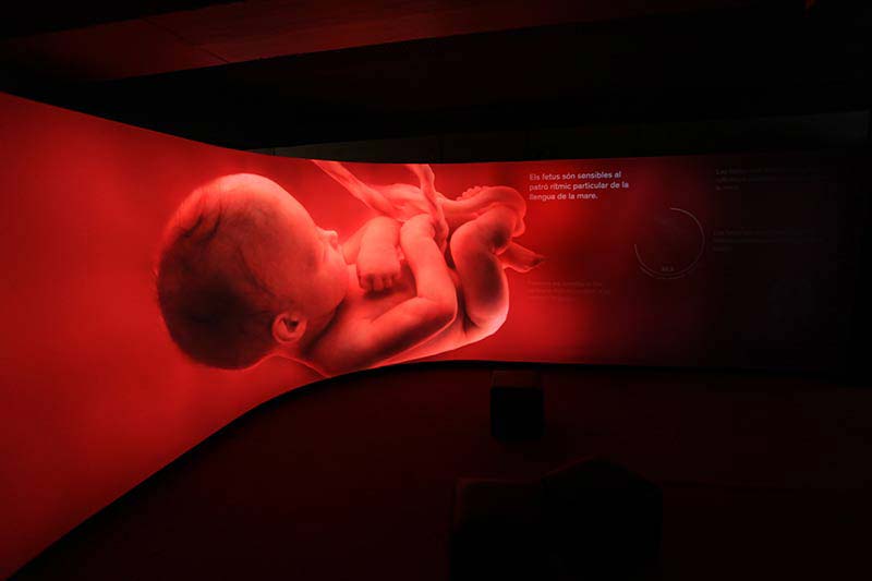 Musee des Sciences CosmoCaixa Barcelone