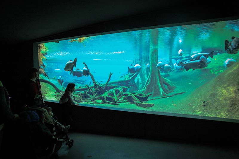 Musee des Sciences CosmoCaixa Barcelone