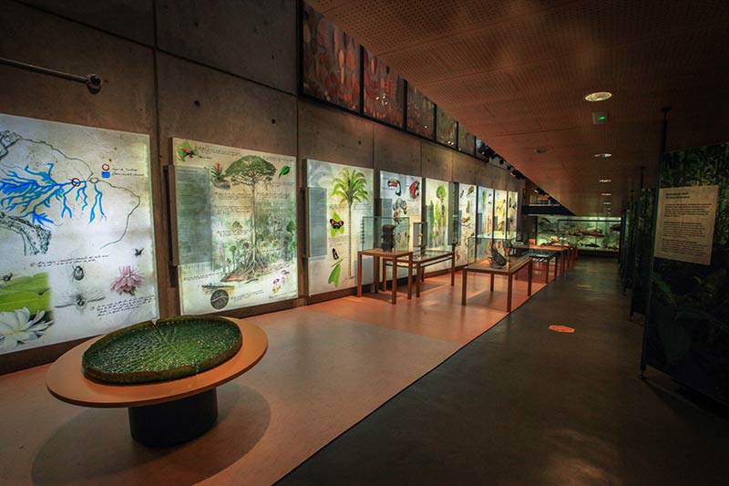 Musee des Sciences CosmoCaixa Barcelone