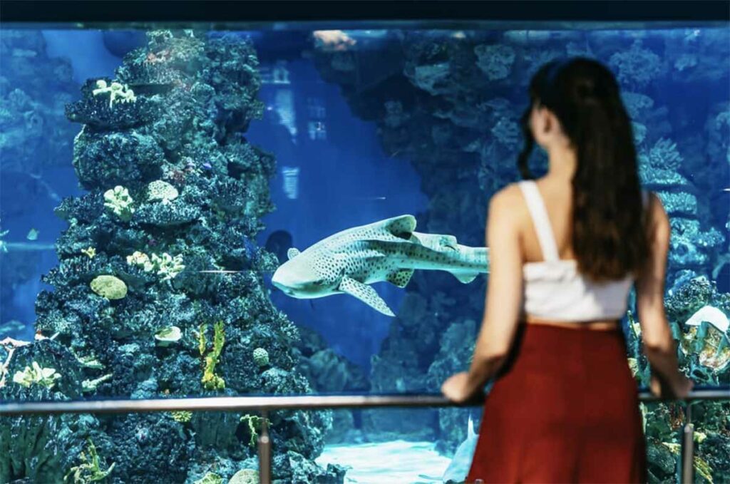 aquarium barcelone