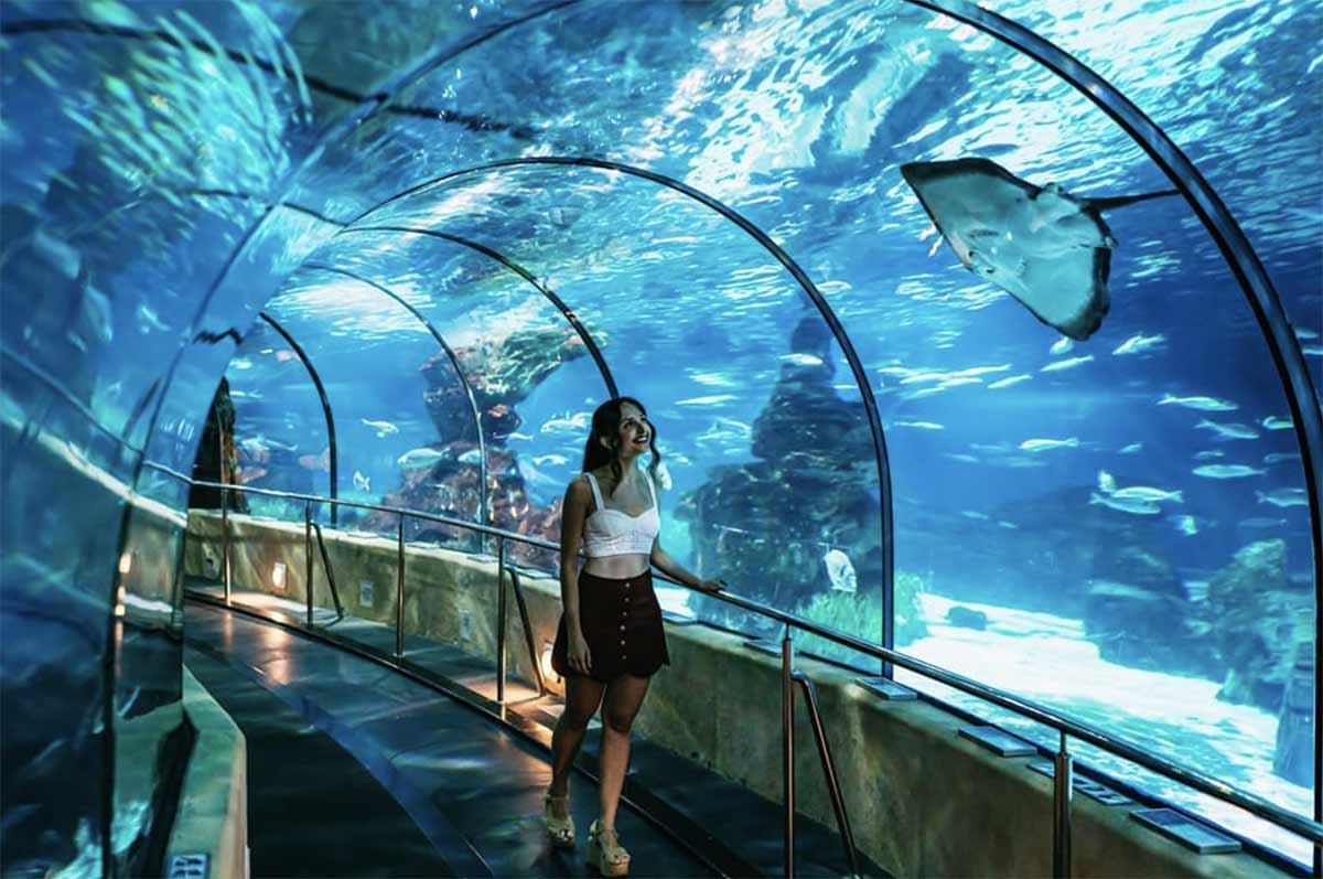 aquarium barcelone