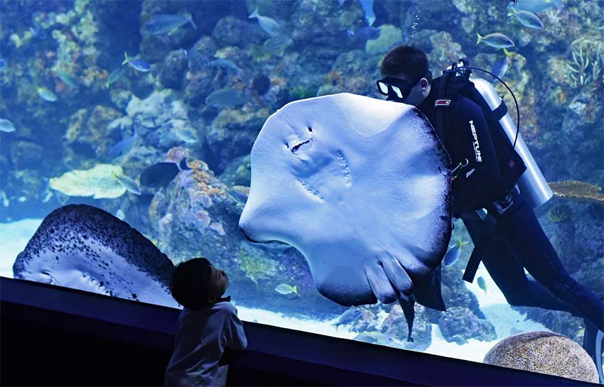 aquarium de barcelone