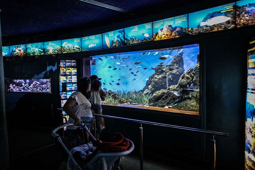 aquarium barcelone en famille