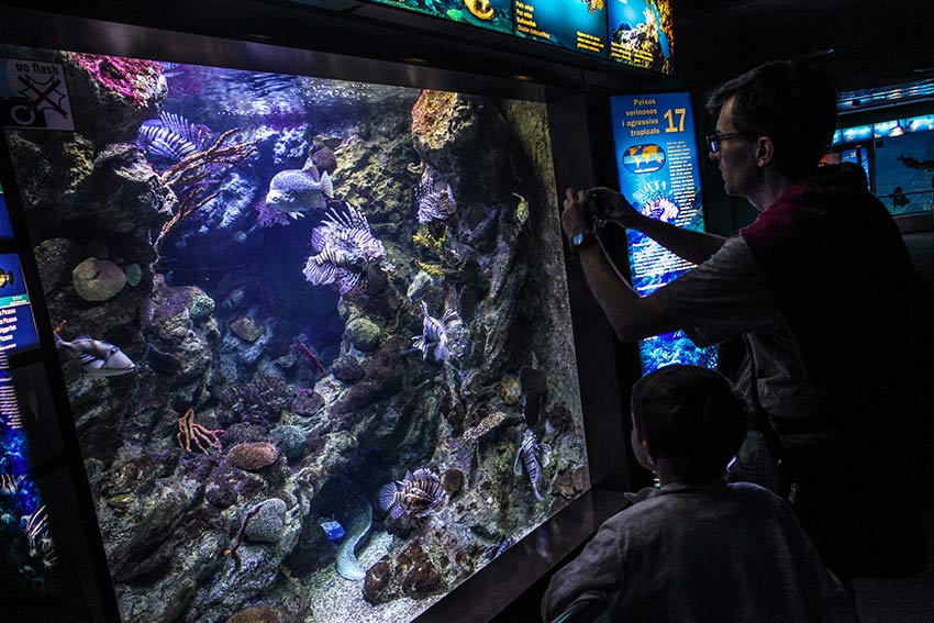 aquarium de barcelone
