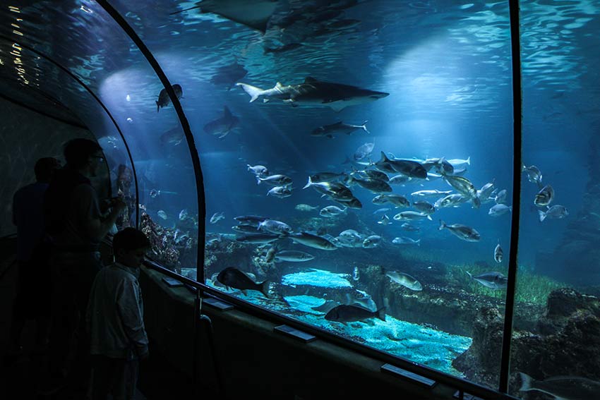 aquarium barcelone
