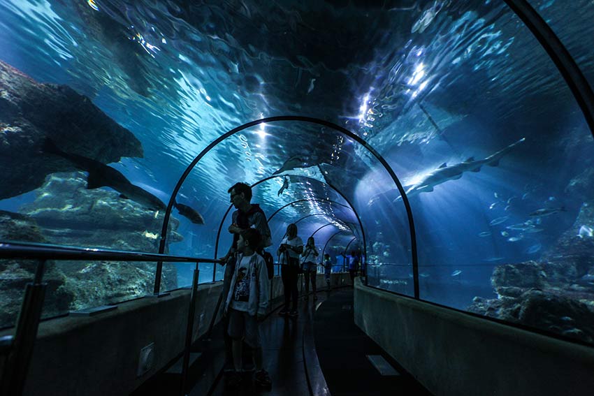 aquarium de barcelone