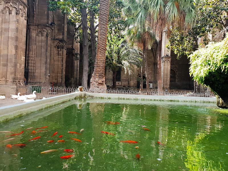 cathedrale-barcelone12