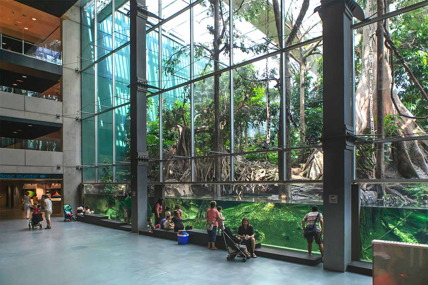 cosmocaixa barcelone