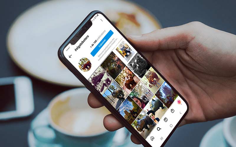 el-gato-botero-barcelona