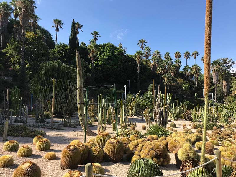 velo barcelone evjf jardin cactus