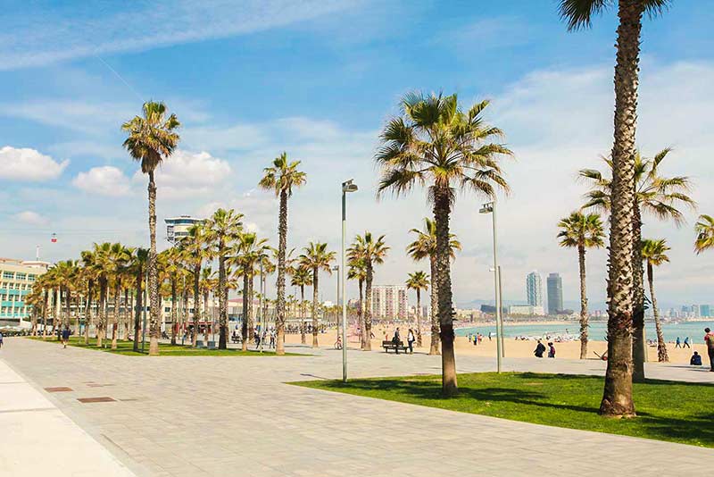 plage sant miquel barcelona2